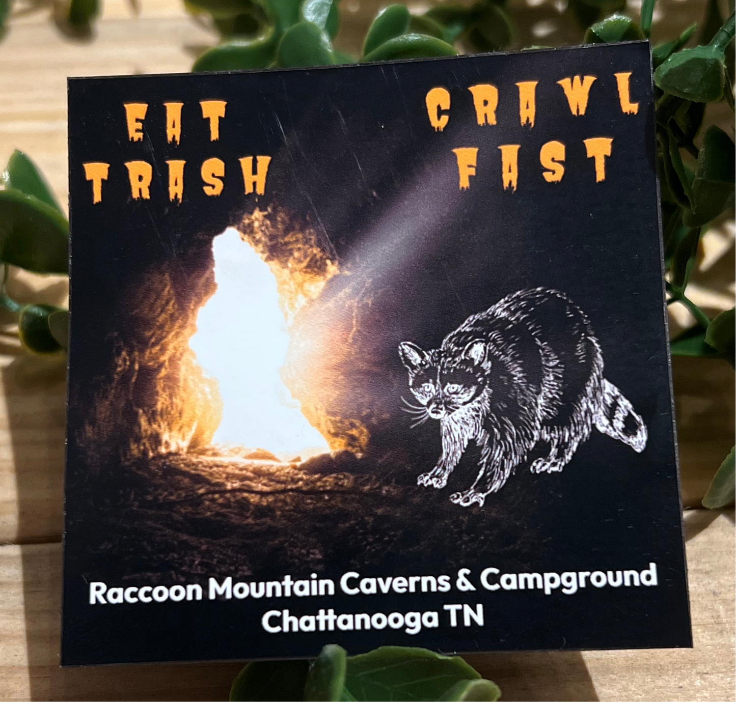 Eat Trash Crawl Fast Raccoon Mountain Magnet