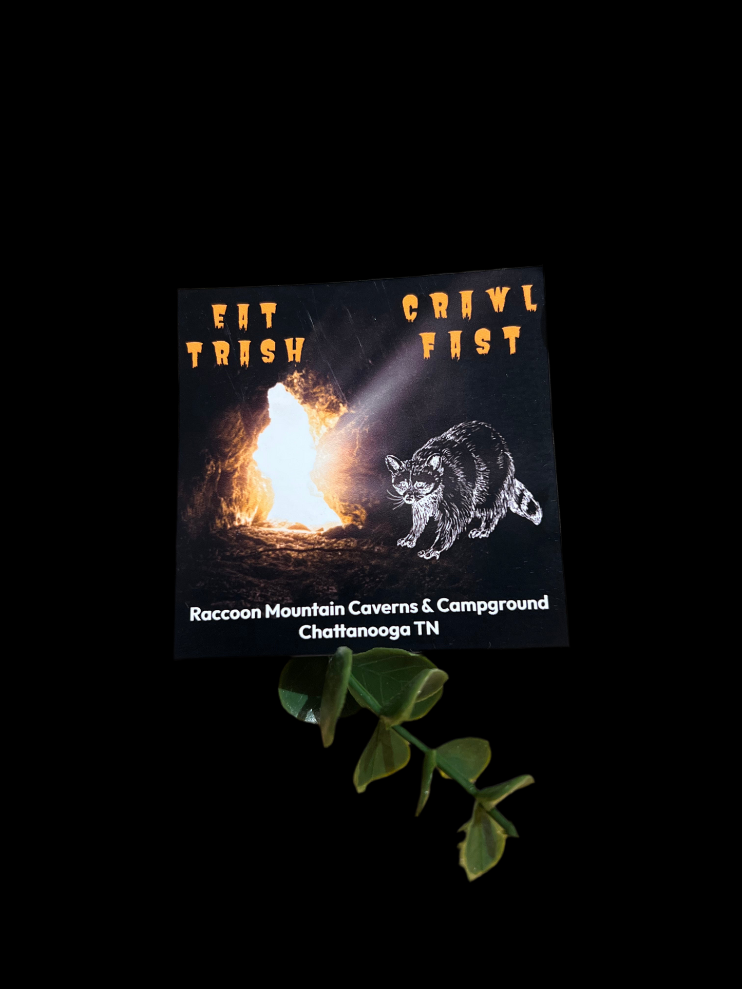 Eat Trash Crawl Fast Raccoon Mountain Magnet