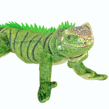 Stuffed Iguana