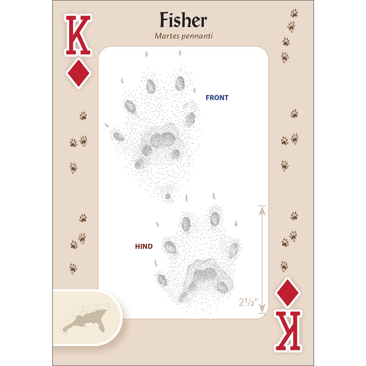 Animal Tracks of the Southeast and Gulf Playing Cards