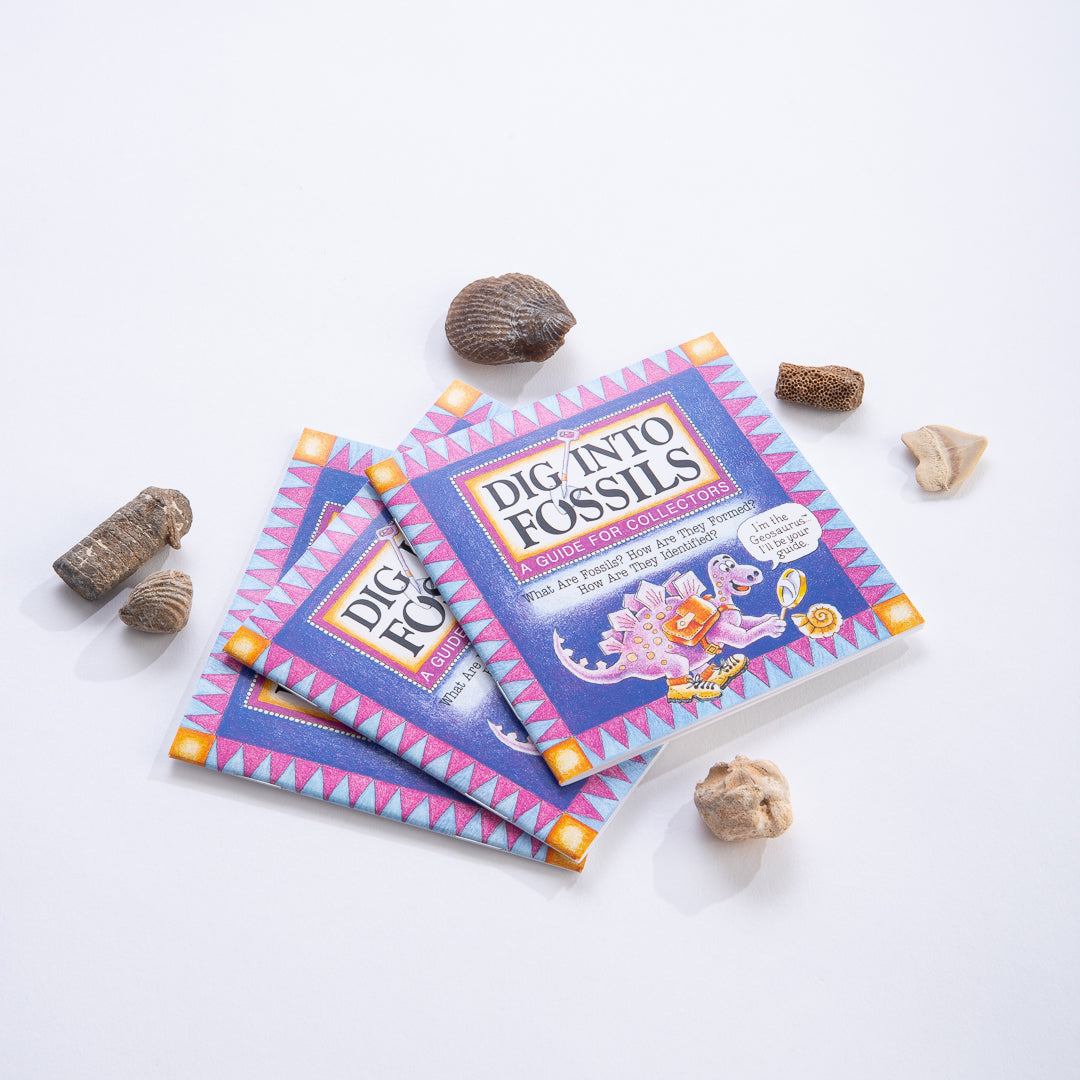 "Dig Into" Books