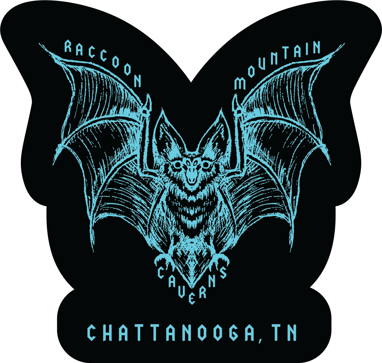 Bat Raccoon Mountain Keychain