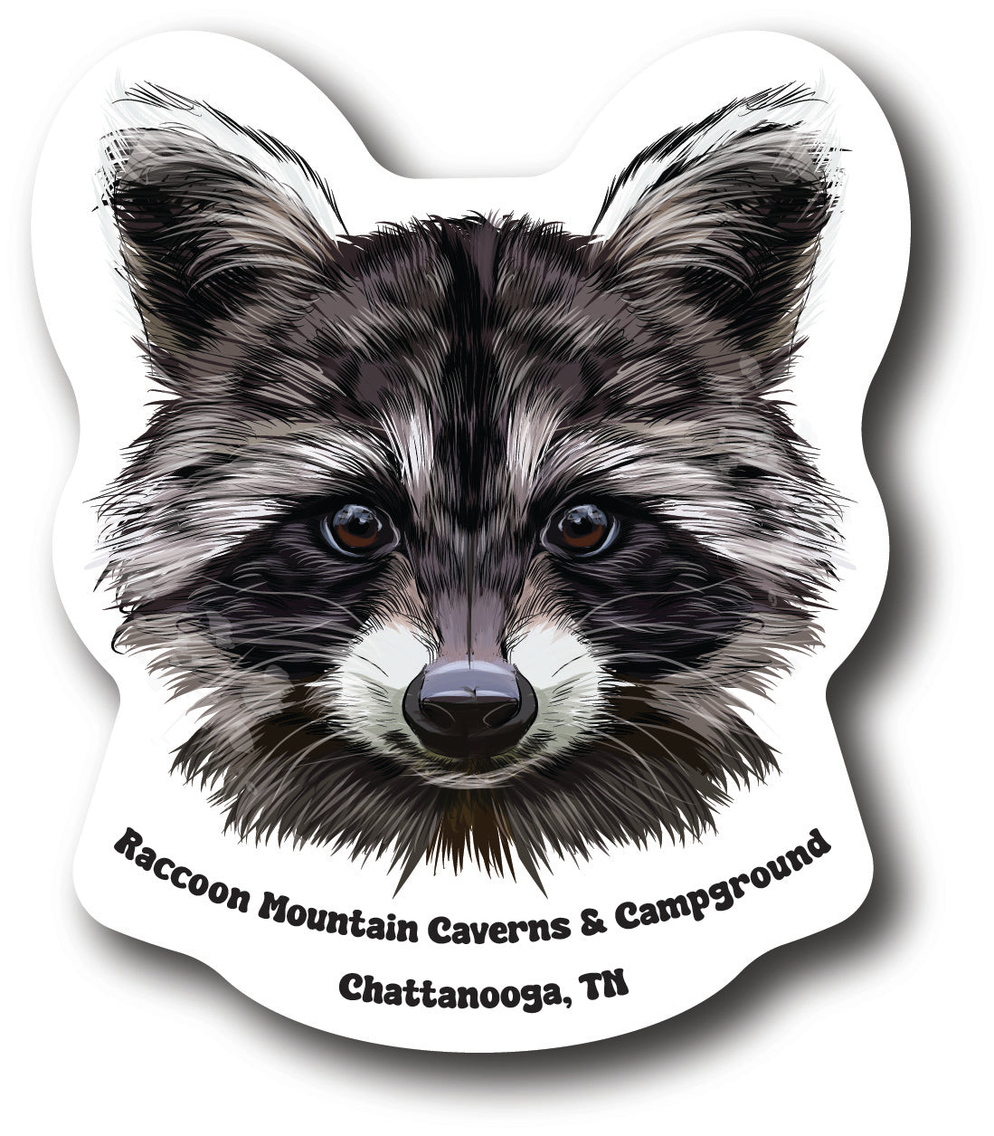 Raccoon Head Raccoon Mountain Caverns Sticker