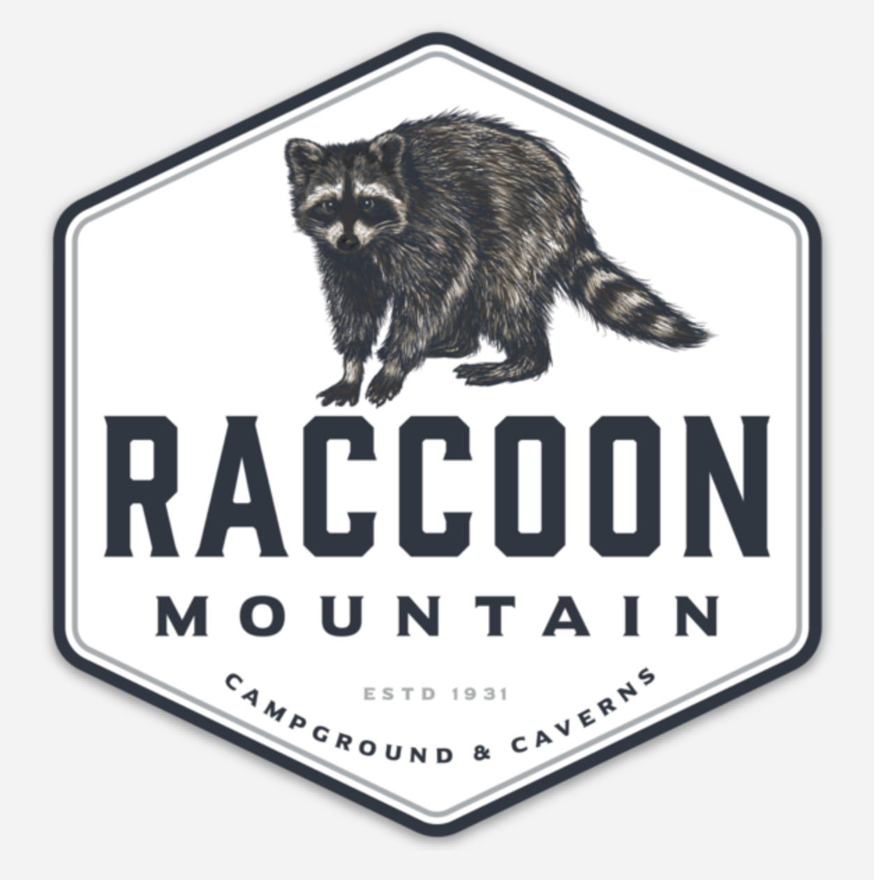Raccoon Mountain Logo Magnet