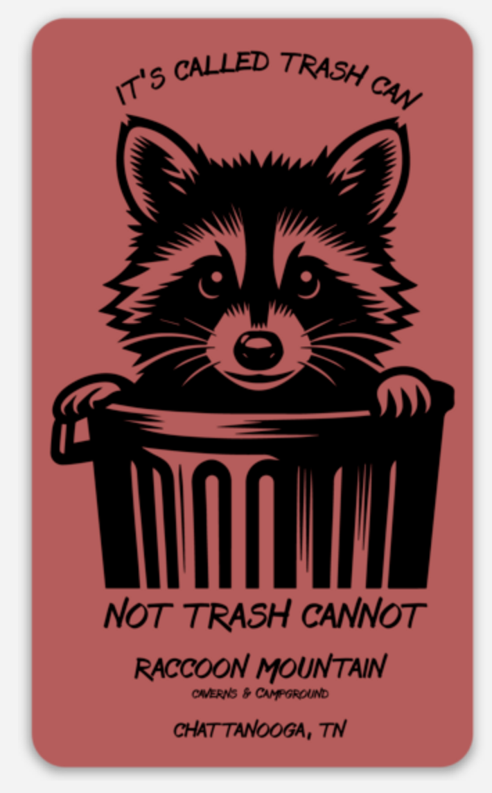 It's Called Trash Can, Not Trash Cannot Raccoon Mountain Magnet