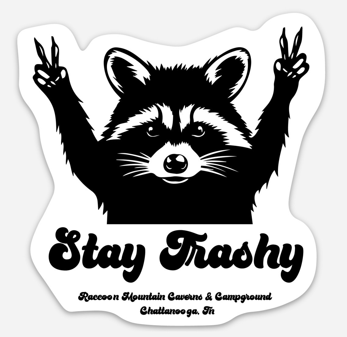 Stay Trashy Raccoon Mountain Magnet