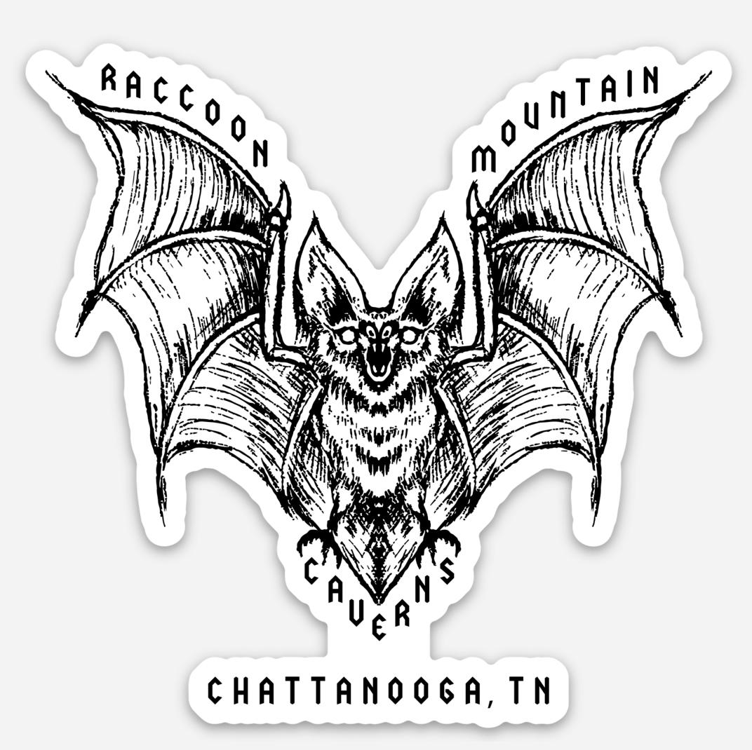 Bat Raccoon Mountain Magnet
