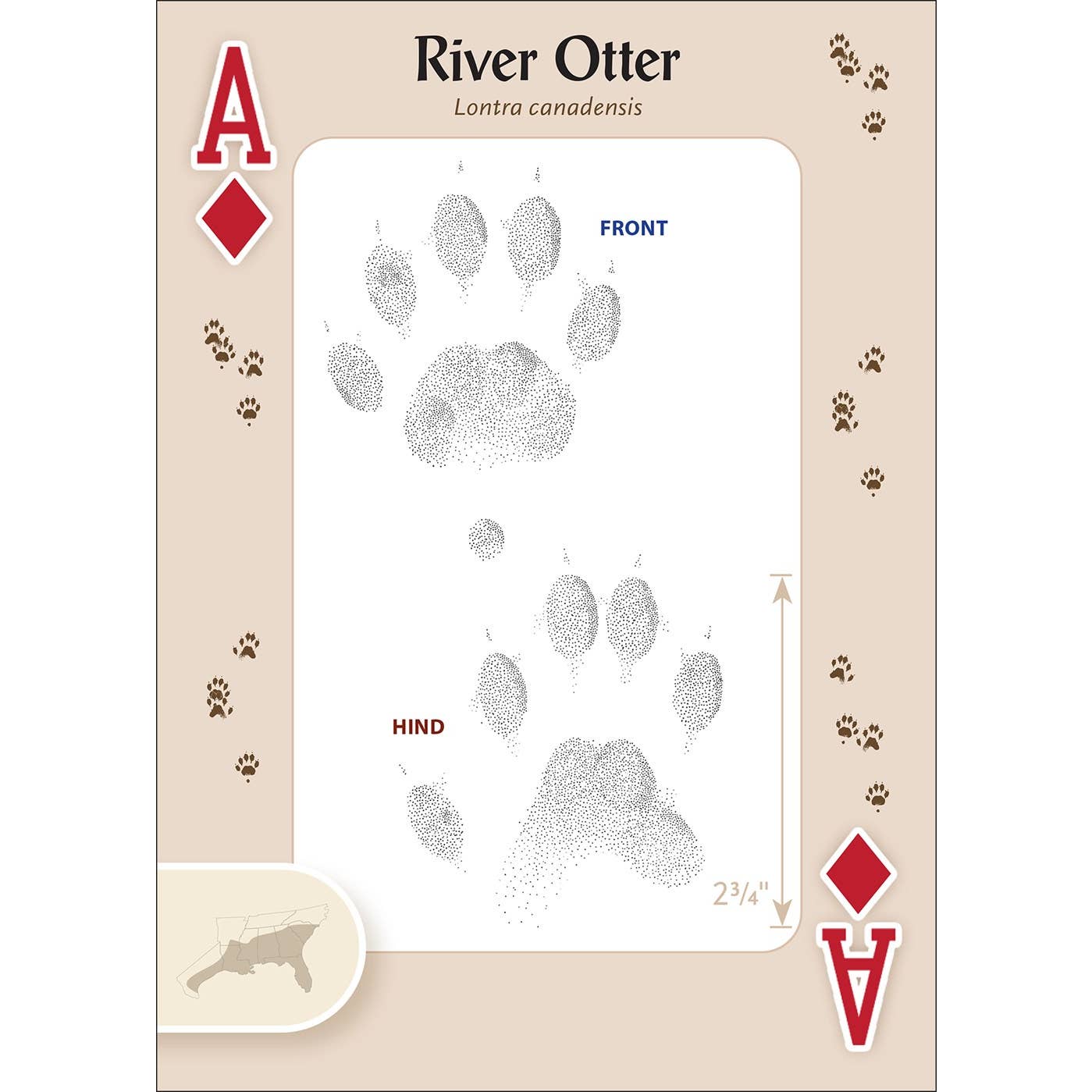 Animal Tracks of the Southeast and Gulf Playing Cards