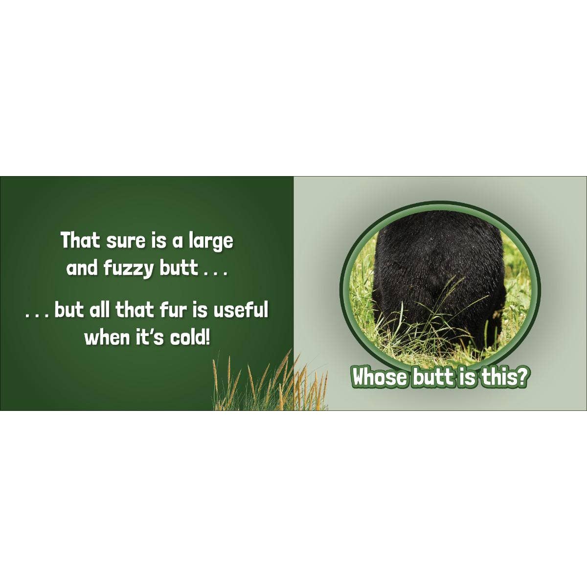 Whose Butt? Animal Identification Book