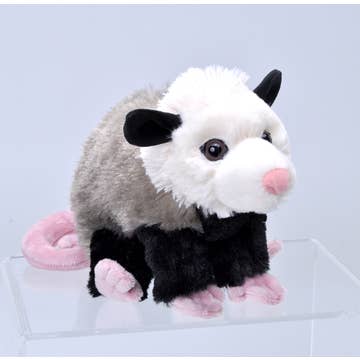 Stuffed Possum