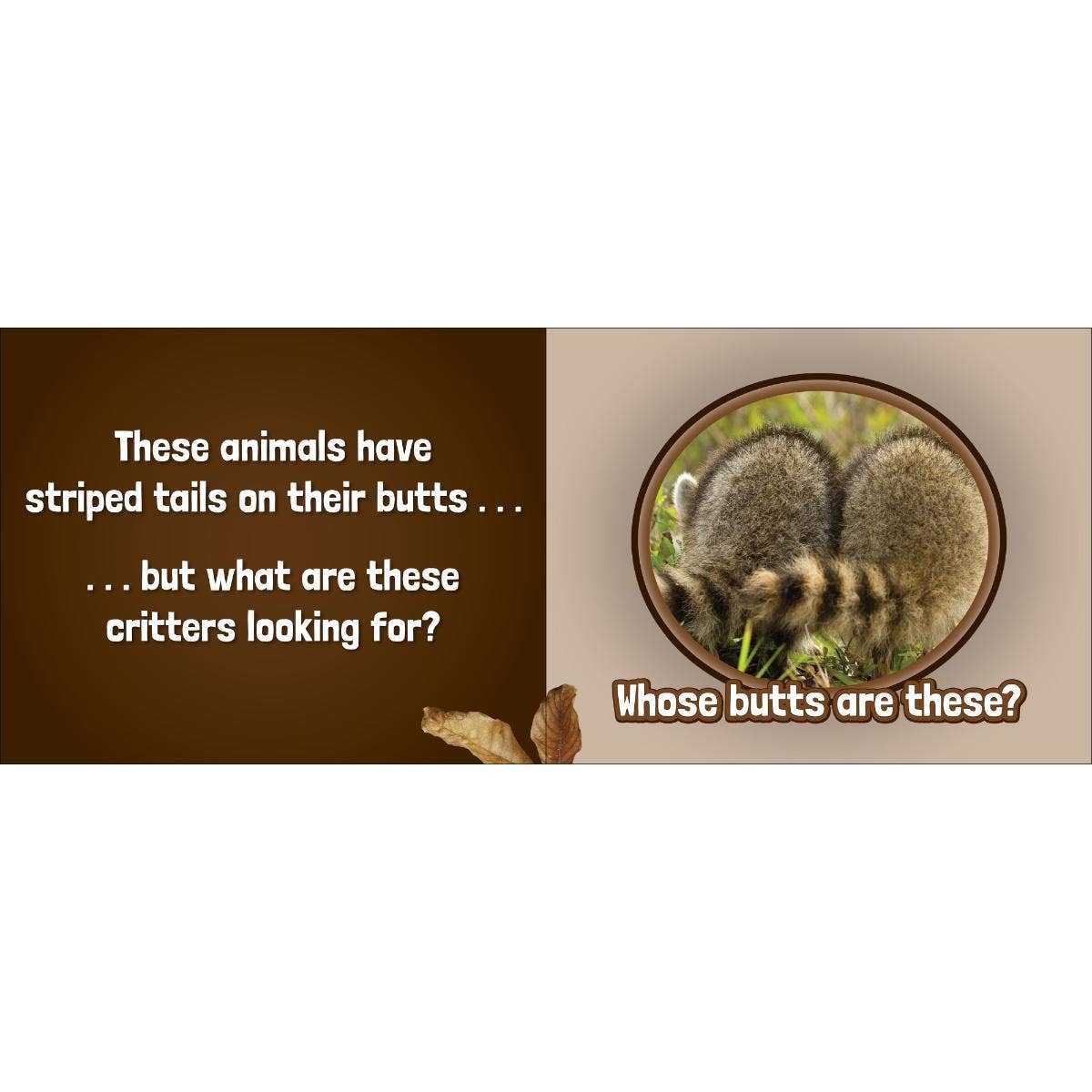 Whose Butt? Animal Identification Book