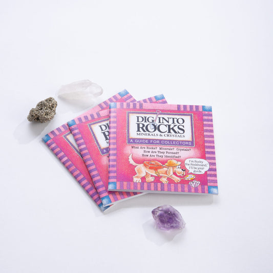 "Dig Into" Books