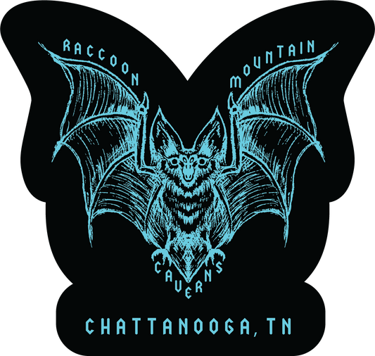 Bat Raccoon Mountain Keychain