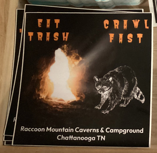 Eat Trash Crawl Fast Raccoon Mountain Sticker