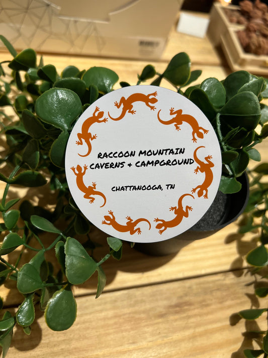 Raccoon Mountain Lizards Circle Magnet