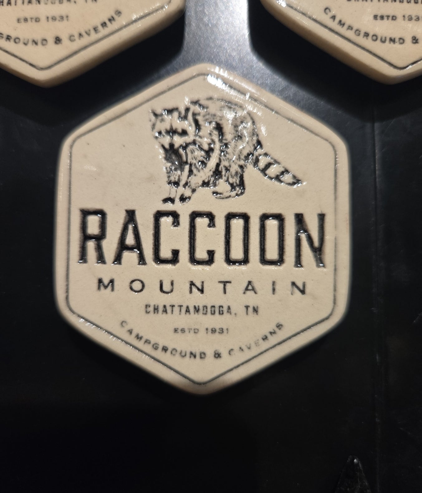 Grey Fox Pottery Raccoon Mountain Magnet