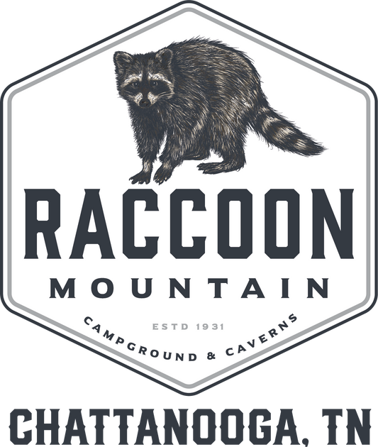 Raccoon Mountain Logo Keychain