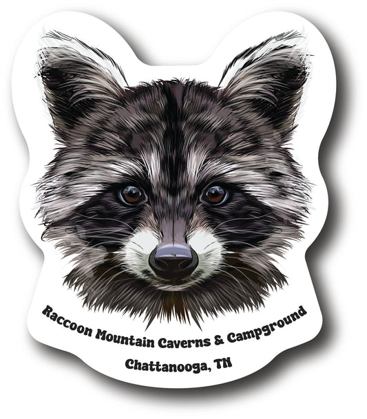 Raccoon Head Raccoon Mountain Caverns Sticker