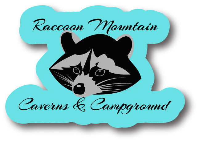 Turquoise Raccoon Head Raccoon Mountain Sticker