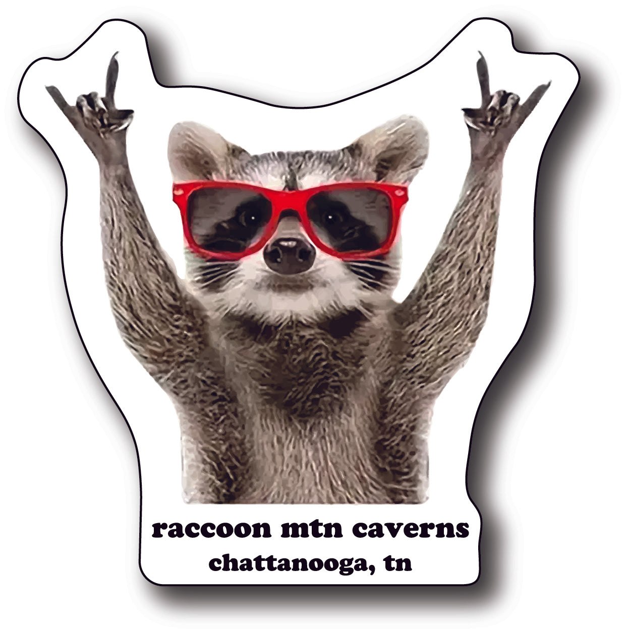 Rockin' Raccoon Sticker