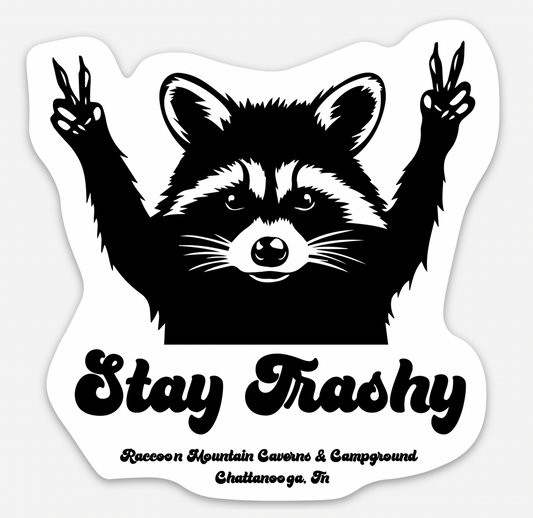 Stay Trashy Raccoon Mountain Magnet