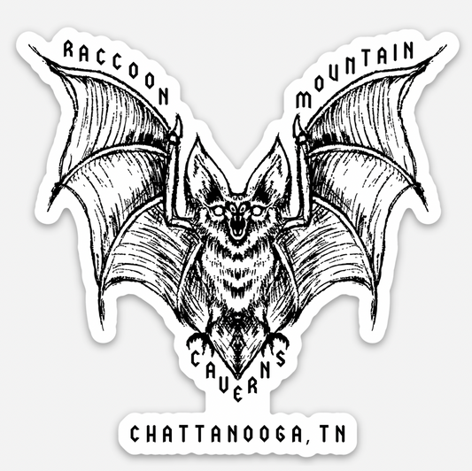 Bat Raccoon Mountain Magnet