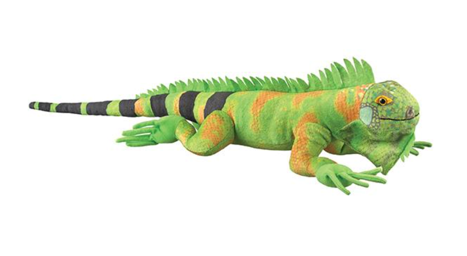 Nature Planet Iguana