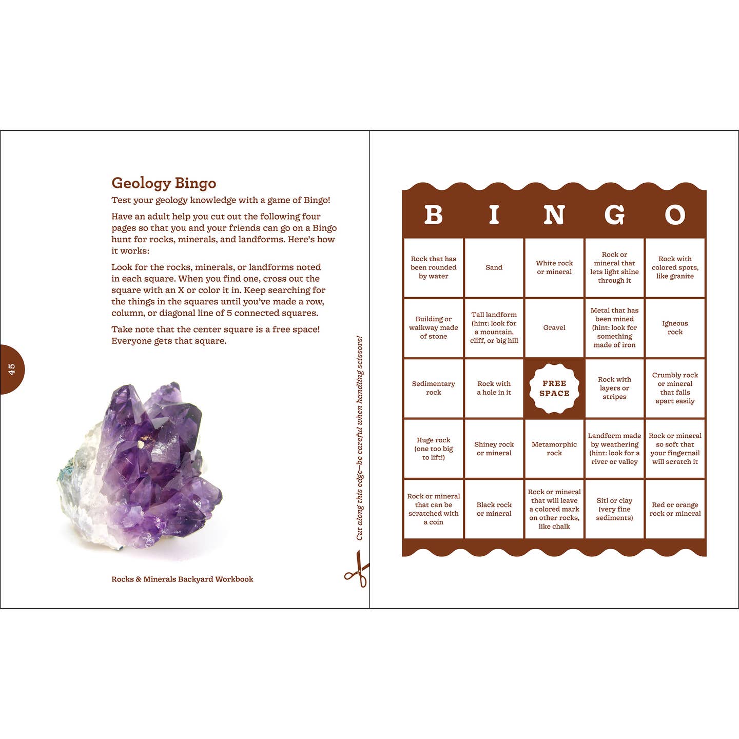 Rocks & Minerals Backyard Workbook