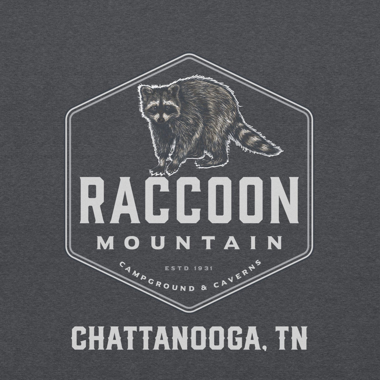 Raccoon Mountain Logo Unisex Hoodie